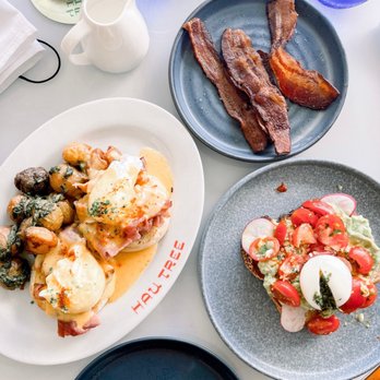 Hau Tree - Perfect brunch - Seafood Near Me - Honolulu, Hawaii Hau Tree - Perfect brunch - Seafood Near Me - Honolulu, Hawaii