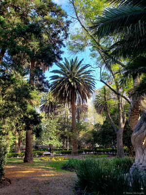 Parque Lincoln by null