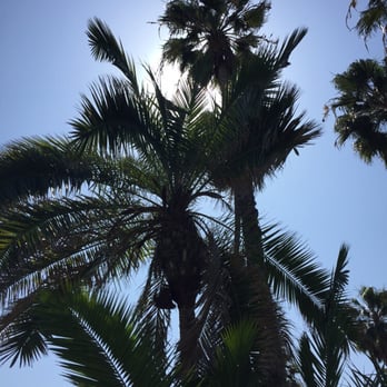 Venice Statepark - Beaches Near Me - Venice, California Venice Statepark - Beaches Near Me - Venice, California