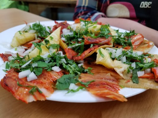 El Patio y las Ranas by null
