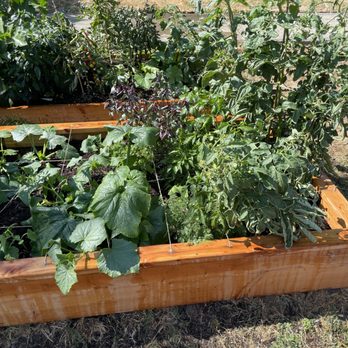 PNW Permaculture - Fences & Gates Near Me PNW Permaculture - Fences & Gates Near Me