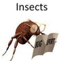 What's Bugging You Pest Control