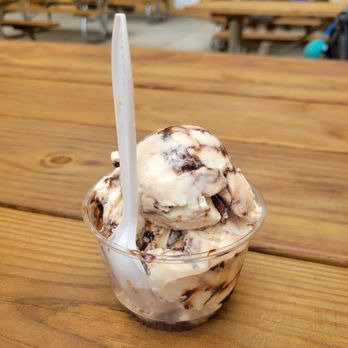 Ark Encounter - Gator trail ice cream was pretty good! This can be ordered at the gift shop. - Museums Near Me - Williamstown, Kentucky