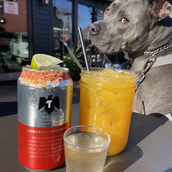 Diego's - Mexican Near Me - Newport, Rhode Island