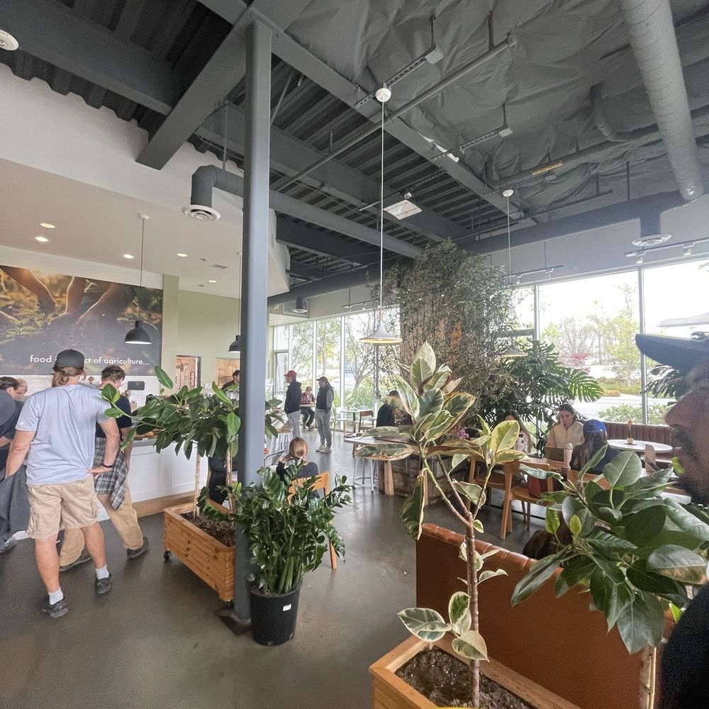Dot Cafe - inside - Coffee & Tea Near Me - San Diego, California Dot Cafe - inside - Coffee & Tea Near Me - San Diego, California