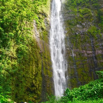 Pipiwai Trail - Waimoku Falls is overgrown because this area is after a do not cross sign - Hiking Near Me - Hana,, Hawaii