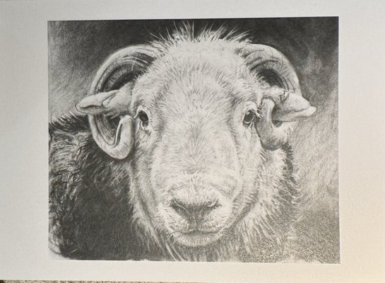 The Old Stamp House Restaurant by null