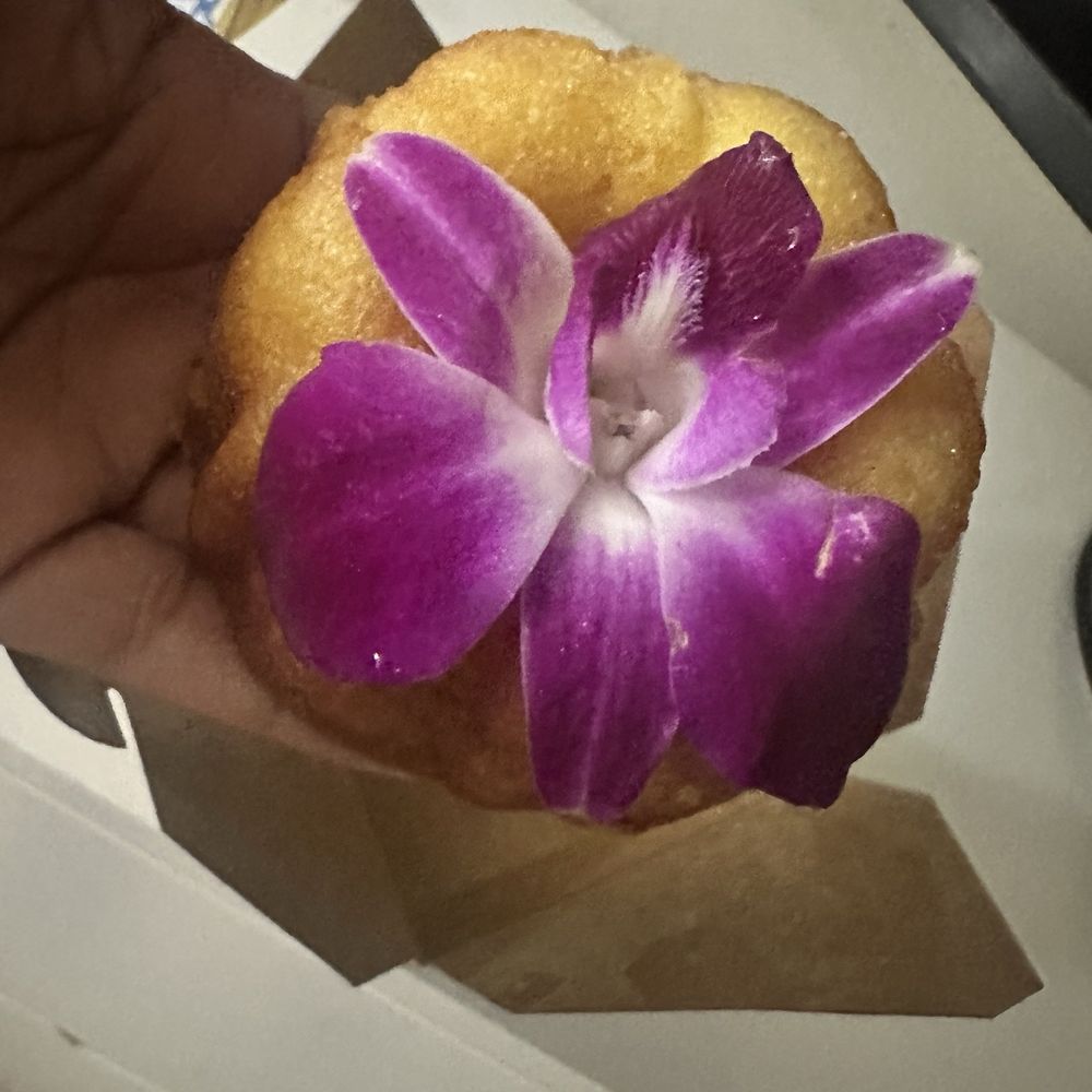 Sapodilla’s - Rum cake to go with - Caribbean Near Me - Washington, DC, District of Columbia Sapodilla’s - Rum cake to go with - Caribbean Near Me - Washington, DC, District of Columbia