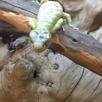 Wildlife Learning Center - Zoos Near Me - Sylmar, California