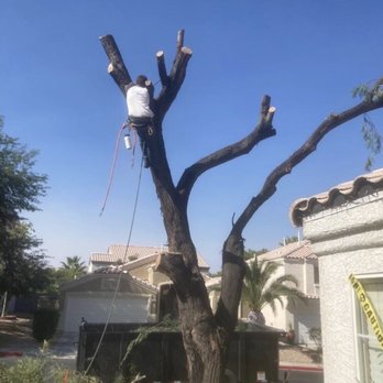 Sun City Landscaping - Landscaping Near Me - Henderson, Nevada Sun City Landscaping - Landscaping Near Me - Henderson, Nevada