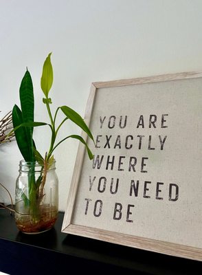 Integrating the Self