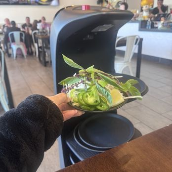 Pho Now - Robot dropping off my condiments - Vietnamese Near Me - San Jose, California