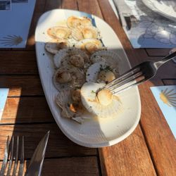 O Centolo - Scallops - so good!