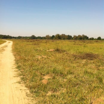 Kaweah Oaks Preserve - What you see starting the trails. It looks like there's no trails at all & you're being punked but no fear there's trails - Hiking Near Me - Exeter, California