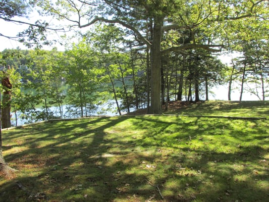 Barrett's Park by null