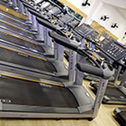 Just Academia - Area de Cardiovascular