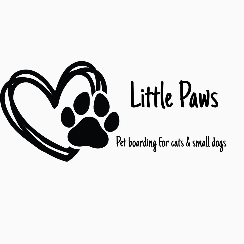 LITTLE PAWS PET BOARDING FOR CATS AND SMALL DOGS 21 Photos South