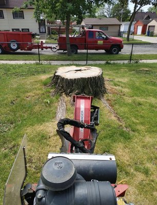 Removing Trees and Stumps - We have been removing trees and stumps for many years. My crew is respectful of property and we do an excellent job of clean-up. Check out our great reviews and call for a free quote.