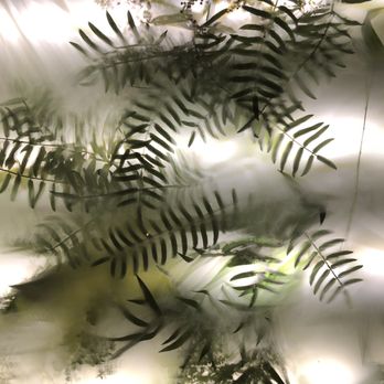Understory - Restaurants Near Me - Columbus, Ohio Understory - Restaurants Near Me - Columbus, Ohio