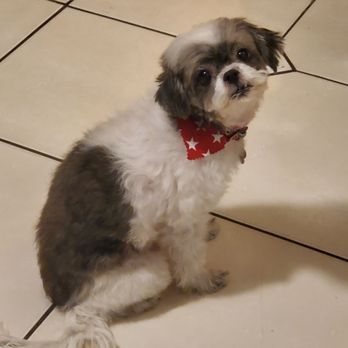 Freddys Mobile Grooming - Pet Groomers Near Me Freddys Mobile Grooming - Pet Groomers Near Me