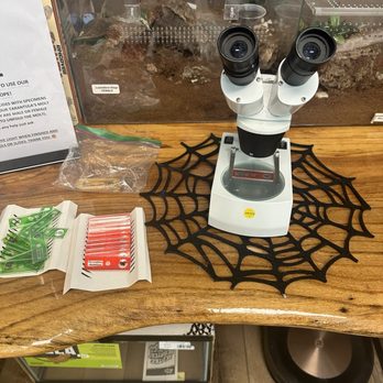 Fear Not Tarantulas - Pet Stores Near Me - Virginia Beach, Virginia Fear Not Tarantulas - Pet Stores Near Me - Virginia Beach, Virginia