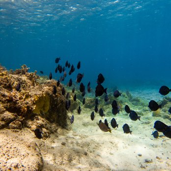 DaySail Fantasy - Snorkeling Near Me - St Thomas, Virgin Islands