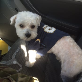Jo-Mar's Pet Coiffures - Pet Services Near Me - Kings Beach, California