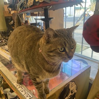 Dr Strange Records - Welcome - Vinyl Records Near Me - Alta Loma, California Dr Strange Records - Welcome - Vinyl Records Near Me - Alta Loma, California