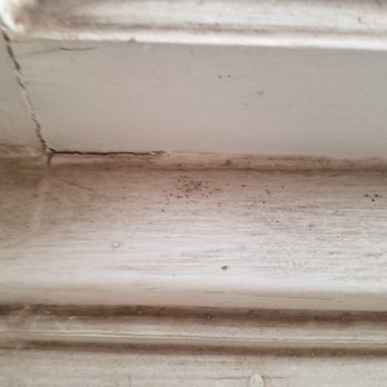 Upkeep Angels Cleaning - windows - Home Cleaning Near Me Upkeep Angels Cleaning - windows - Home Cleaning Near Me