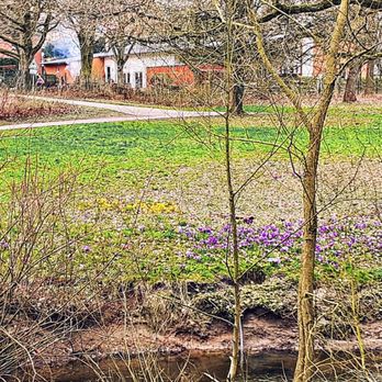 Schleemer Park - Blütenmeer (04/2024) - Parks Near Me - Hamburg, HH