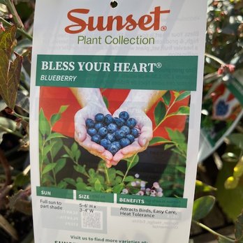 Sloat Garden Center - Nurseries & Gardening Near Me - Martinez, California Sloat Garden Center - Nurseries & Gardening Near Me - Martinez, California