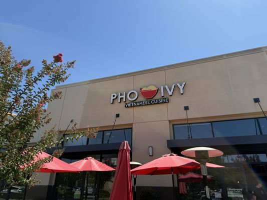 Pho Ivy by null