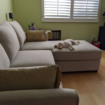 Custom Sofa Co. - Oakland - My dog loves the couch - Furniture Stores Near Me - Oakland, California Custom Sofa Co. - Oakland - My dog loves the couch - Furniture Stores Near Me - Oakland, California