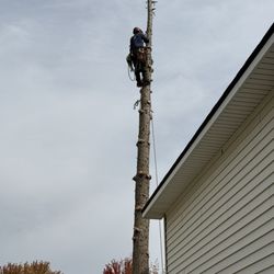 North Fork Tree Service