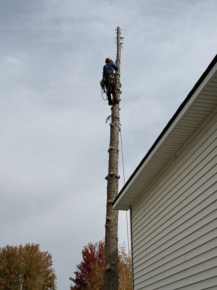 North Fork Tree Service - tree service in Boise, ID