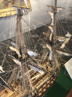 Channel Islands Maritime Museum by null