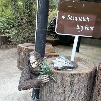 Raquels Unique Travel - On our way to treehouse - Travel Agents Near Me
