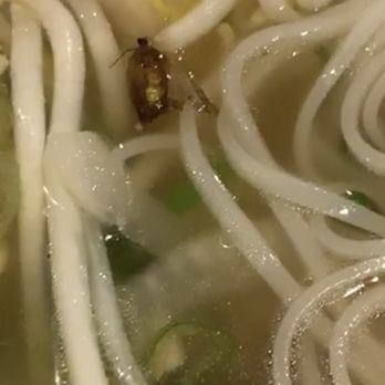Pho Saigon - Vietnamese Near Me - Houston, Texas Pho Saigon - Vietnamese Near Me - Houston, Texas