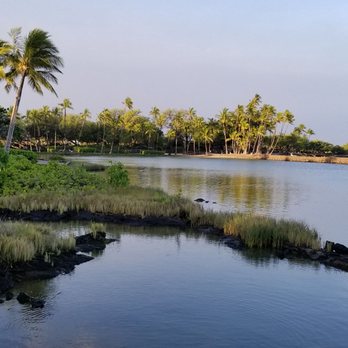 Anaehoomalu Bay - Beaches Near Me - Waikoloa, Hawaii Anaehoomalu Bay - Beaches Near Me - Waikoloa, Hawaii