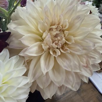 Hazel's Flowers - Florists Near Me - Ozark, Missouri Hazel's Flowers - Florists Near Me - Ozark, Missouri
