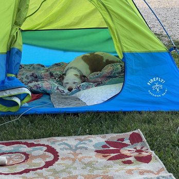 Meramec Campground - Sweet Pinky taking a nap - Campgrounds Near Me - Sullivan, Missouri