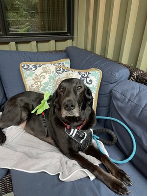 Fletcher Bay Winery by null