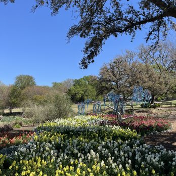 San Antonio Botanical Garden - Botanical Gardens Near Me - San Antonio, Texas