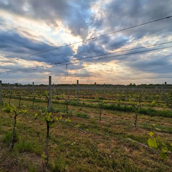 Wind Vineyards At Laurel Grove - Monster Show and Bud Break Festival - Wineries Near Me - Tappahannock, Virginia Wind Vineyards At Laurel Grove - Monster Show and Bud Break Festival - Wineries Near Me - Tappahannock, Virginia