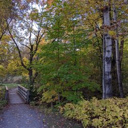 Beryl Gaffney Park