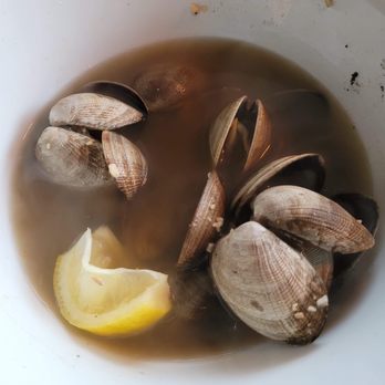 Hurricane Ron’s - You know why it's black? Cause it's dirt water. - Seafood Near Me - Astoria, Oregon Hurricane Ron’s - You know why it's black? Cause it's dirt water. - Seafood Near Me - Astoria, Oregon