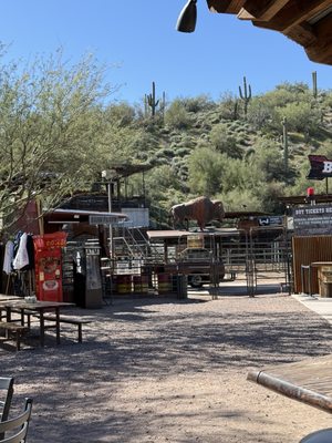 Buffalo Chip Saloon and Steakhouse by null