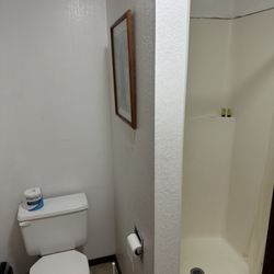 Mary's McKinley View Lodge - Toilet/shower room (note the cracks above the shower surround)