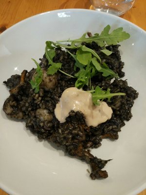 Somiatruites by null