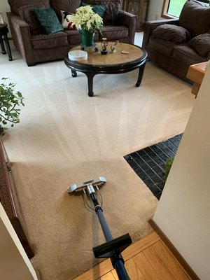 Carpet Cleaning - Not all carpet is created equal! Some fibers require different cleaning techniques. Let Steam-Vac Carpet Cleaners take on the job and allow you to sit back and enjoy your clean living space. Carpet Cleaning - Not all carpet is created equal! Some fibers require different cleaning techniques. Let Steam-Vac Carpet Cleaners take on the job and allow you to sit back and enjoy your clean living space.